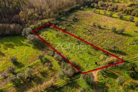 Helårsgrund i Pombal, Leiria, Pombal - € 45.000 | Ref: ZMPT583908 - foto 33