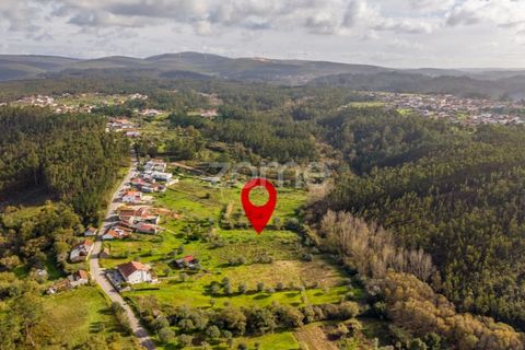 Helårsgrund i Pombal, Leiria, Pombal - € 45.000 | Ref: ZMPT583908 - foto 34