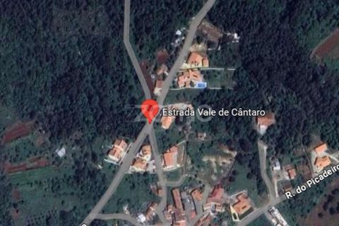 Terra a Assafarge e Antanhol, Coimbra, Assafarge e Antanhol - € 80.000 | Ref: ZMPT572822 - foto 8