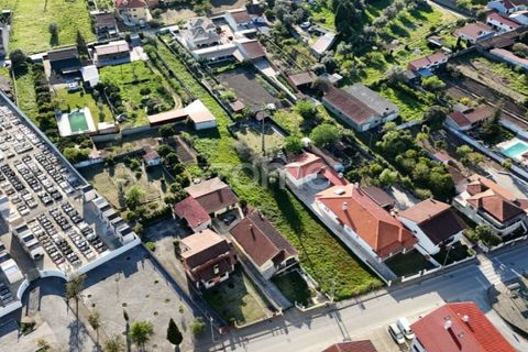 Helårsgrund i Mealhada, Aveiro, Mealhada - € 69.000 | Ref: ZMPT587448 - foto 4