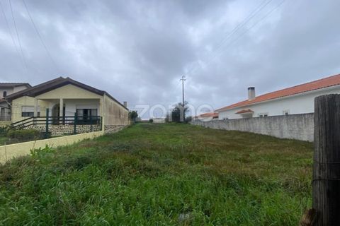 Helårsgrund i Mealhada, Aveiro, Mealhada - € 69.000 | Ref: ZMPT587448 - foto 13