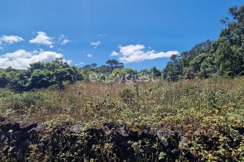 Helårsgrund i Madalena, Pico, Madalena - € 280.000 | Ref: AZ96190MK - foto 2