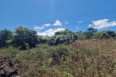 Helårsgrund i Madalena, Pico, Madalena - € 280.000 | Ref: AZ96190MK - foto 3