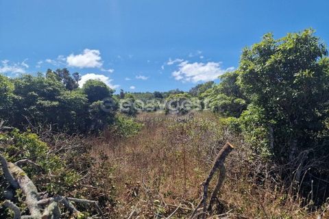 Helårsgrund i Madalena, Pico, Madalena - € 280.000 | Ref: AZ96190MK - foto 4
