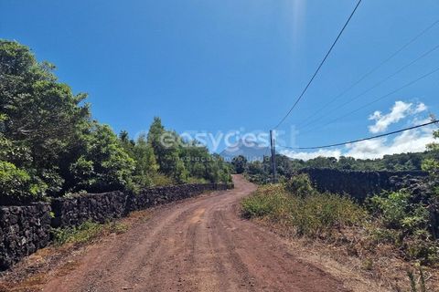 Helårsgrund i Madalena, Pico, Madalena - € 280.000 | Ref: AZ96190MK - foto 6