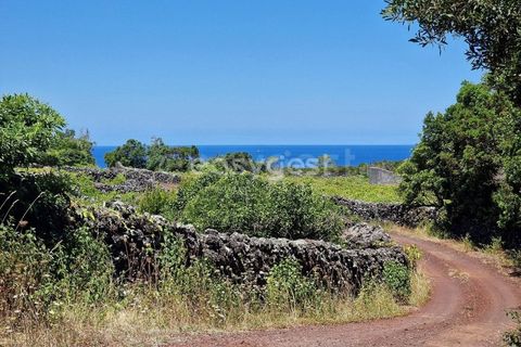 Helårsgrund i Madalena, Pico, Madalena - € 280.000 | Ref: AZ96190MK - foto 7