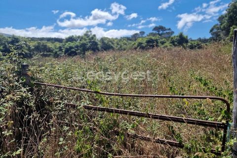 Helårsgrund i Madalena, Pico, Madalena - € 280.000 | Ref: AZ96190MK - foto 8