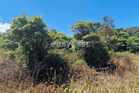 Helårsgrund i Madalena, Pico, Madalena - € 280.000 | Ref: AZ96190MK - foto 10