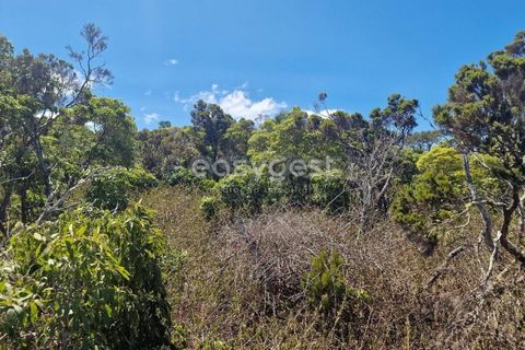Helårsgrund i Madalena, Pico, Madalena - € 280.000 | Ref: AZ96190MK - foto 12