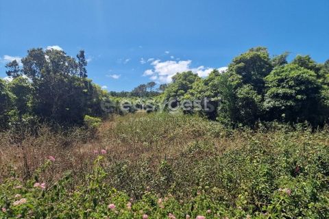 Helårsgrund i Madalena, Pico, Madalena - € 280.000 | Ref: AZ96190MK - foto 14