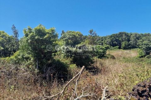 Helårsgrund i Madalena, Pico, Madalena - € 280.000 | Ref: AZ96190MK - foto 15