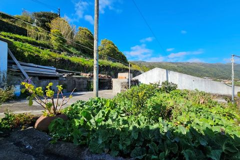Villa in Ribeiras, Pico, Ribeiras - € 220.000 | Ref: AZ96427FR - foto 16
