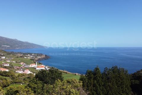 Villa in Ribeiras, Pico, Ribeiras - € 220.000 | Ref: AZ96427FR - foto 20