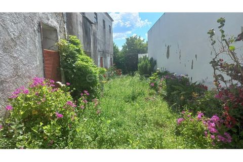 Villa in Pernes, Santarem, Pernes - € 215.000 | Ref: TM97345 - foto 17
