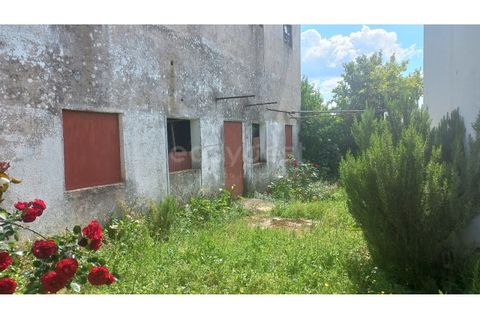 Villa in Pernes, Santarem, Pernes - € 215.000 | Ref: TM97345 - foto 18