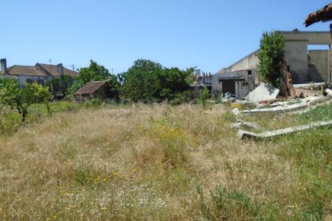 Helårsgrund i Pataias, Leiria, Pataias - € 160.000 | Ref: LE99417NZ - foto 2