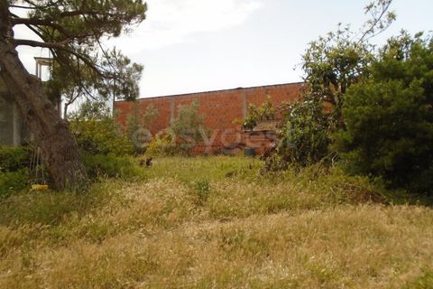 Helårsgrund i Pataias, Leiria, Pataias - € 160.000 | Ref: LE99417NZ - foto 3