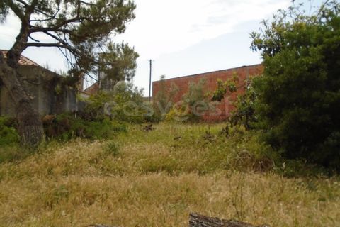 Helårsgrund i Pataias, Leiria, Pataias - € 160.000 | Ref: LE99417NZ - foto 4