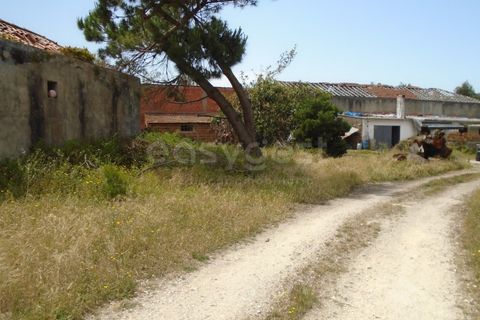 Helårsgrund i Pataias, Leiria, Pataias - € 160.000 | Ref: LE99417NZ - foto 5