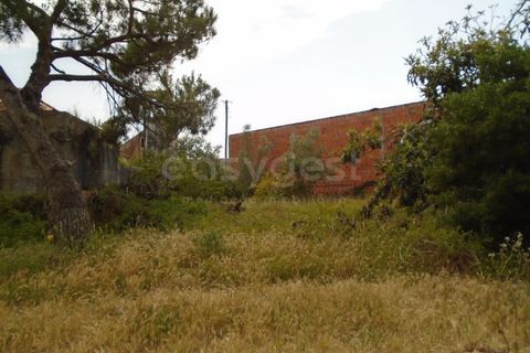 Helårsgrund i Pataias, Leiria, Pataias - € 160.000 | Ref: LE99417NZ - foto 6