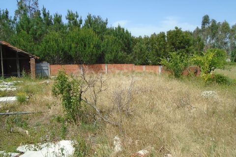 Helårsgrund i Pataias, Leiria, Pataias - € 160.000 | Ref: LE99417NZ - foto 7