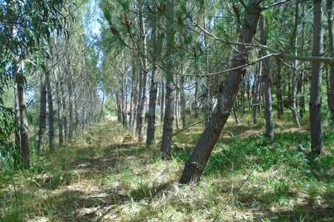 Helårsgrund i Pataias, Leiria, Pataias - € 160.000 | Ref: LE99417NZ - foto 10