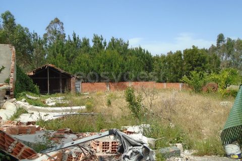 Helårsgrund i Pataias, Leiria, Pataias - € 160.000 | Ref: LE99417NZ - foto 13