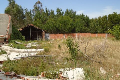 Helårsgrund i Pataias, Leiria, Pataias - € 160.000 | Ref: LE99417NZ - foto 14
