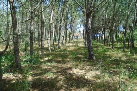 Helårsgrund i Pataias, Leiria, Pataias - € 160.000 | Ref: LE99417NZ - foto 16