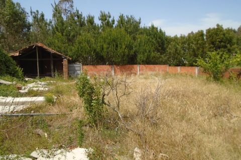 Helårsgrund i Pataias, Leiria, Pataias - € 160.000 | Ref: LE99417NZ - foto 18