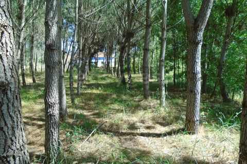 Helårsgrund i Pataias, Leiria, Pataias - € 160.000 | Ref: LE99417NZ - foto 19