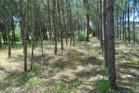Helårsgrund i Pataias, Leiria, Pataias - € 160.000 | Ref: LE99417NZ - foto 21