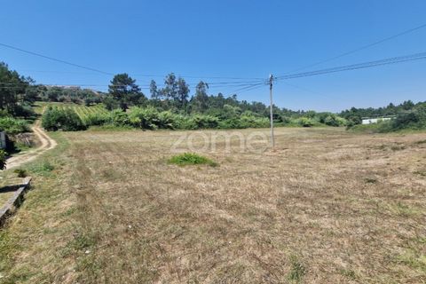 Terra a Gesteira e Brunhos, Coimbra, Gesteira e Brunhos - € 120.000 | Ref: ZMPT579551 - foto 4