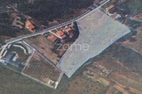 Terra a Gesteira e Brunhos, Coimbra, Gesteira e Brunhos - € 120.000 | Ref: ZMPT579551 - foto 11