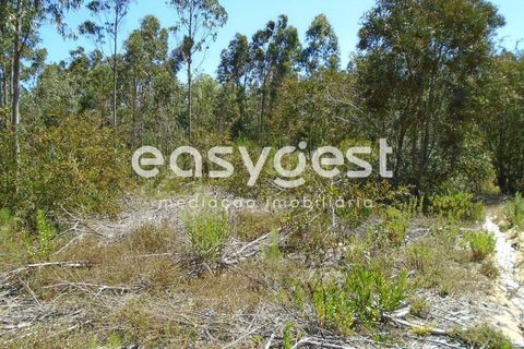 Helårsgrund i Pataias, Leiria, Pataias - € 50.000 | Ref: LE88877NZ - foto 4