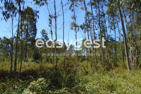 Helårsgrund i Pataias, Leiria, Pataias - € 50.000 | Ref: LE88877NZ - foto 5