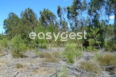 Helårsgrund i Pataias, Leiria, Pataias - € 50.000 | Ref: LE88877NZ - foto 6