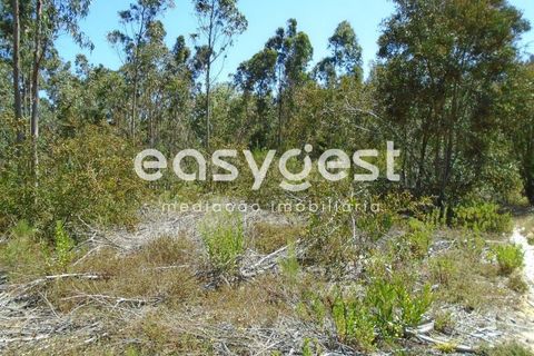 Helårsgrund i Pataias, Leiria, Pataias - € 50.000 | Ref: LE88877NZ - foto 7
