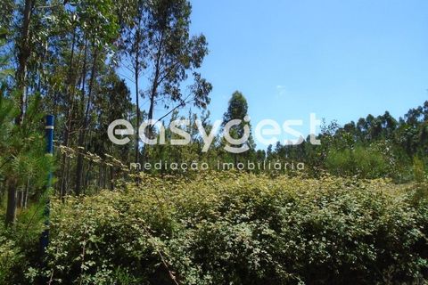 Helårsgrund i Pataias, Leiria, Pataias - € 50.000 | Ref: LE88877NZ - foto 8