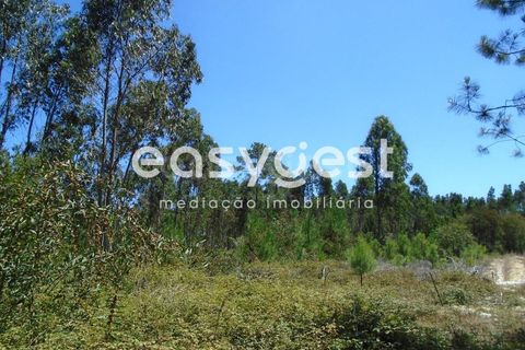 Helårsgrund i Pataias, Leiria, Pataias - € 50.000 | Ref: LE88877NZ - foto 10