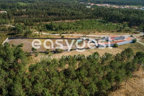 Villa i Pataias, Leiria, Pataias - € 375.000 | Ref: LE61477NZ - foto 43