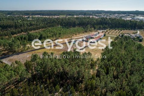 Villa i Pataias, Leiria, Pataias - € 375.000 | Ref: LE61477NZ - foto 44