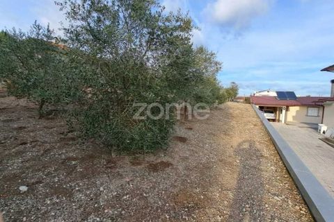 Helårsgrund i Fragosela, Viseu, Fragosela - € 100.000 | Ref: ZMPT564221 - foto 10