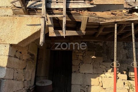 Villa em Penalva do Castelo, Viseu, Penalva do Castelo - € 66.500 | Ref: ZMPT590216 - foto 9