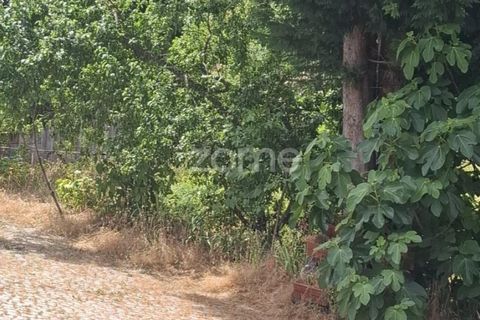 Villa i Seia, Guarda, Seia - € 240.000 | Ref: ZMPT578567 - foto 29