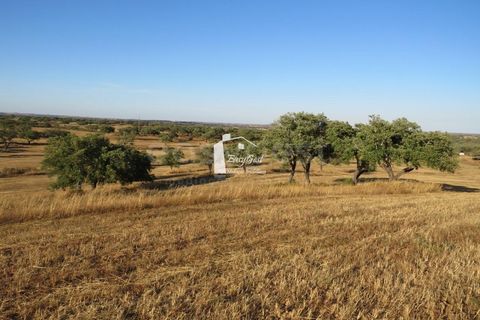 Grond in Ourique, Beja, Ourique - € 79.000 | Ref: BJ86194 - foto 5
