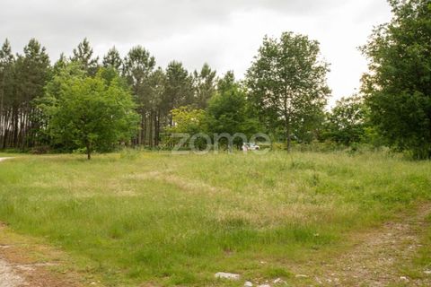 Helårsgrund i Seia, Guarda, Seia - € 190.000 | Ref: ZMPT588803 - foto 2