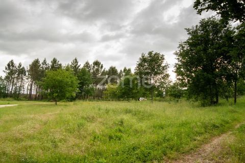 Helårsgrund i Seia, Guarda, Seia - € 190.000 | Ref: ZMPT588803 - foto 7