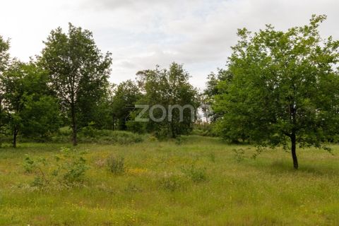 Helårsgrund i Seia, Guarda, Seia - € 190.000 | Ref: ZMPT588803 - foto 8