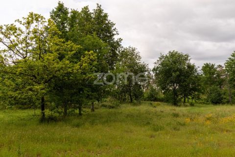 Helårsgrund i Seia, Guarda, Seia - € 190.000 | Ref: ZMPT588803 - foto 9